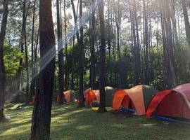 Wong Deso Camping, luxury tent in Seminyak