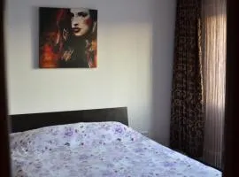 Vila cu trandafiri Cozy Apartments 2 camere
