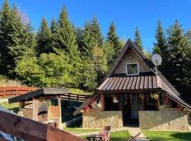 Planinska kuca ANDJELA 1 & sauna