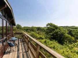 Coastal cabin, spectacular views, doorstep woodland walks, sea 5 mins