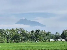 OEMAH SAWAH