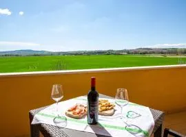 Verde Marche