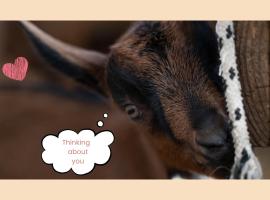 Greve in Chianti में, होटल Agriturismo Podere le Fornaci