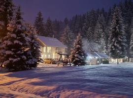 Casa Danielle, lodge i Topliţa