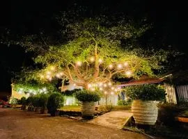 Follow Me designed B&B