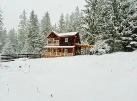 Cosy wooden house in the heart of Apuseni.