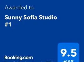 Sunny Sofia Studio #1