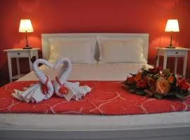 B&T Holiday House