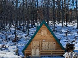 Forest rest, cabin in Pluzine