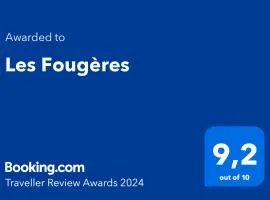 Les Fougères