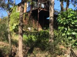 Beautifully Elevated Treehouse Apartment