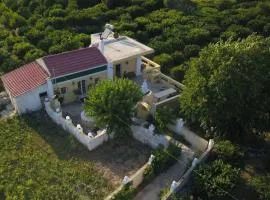 Casa Natura- Welcome to Vathy village