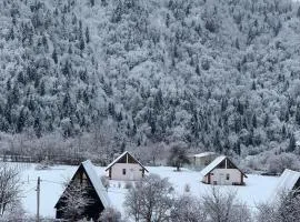 Green Mountain Borjomi