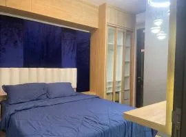 A cozy and premium apartment