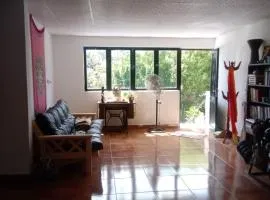 Amplio monoambiente