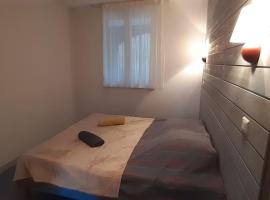 Bielle, grand appartement 38m2, piscine, 4 pers, couchages 160x200, hotel sa Bielle