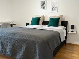 Harmony Living - 10 min to Graz