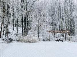 Cozy Cottage with Jacuzzi, Sauna, Fire Pit and Reading Nook!, hotel in Livingston Manor