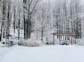 Cozy Cottage with Jacuzzi, Sauna, Fire Pit and Reading Nook!