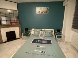 Charmant appartement design