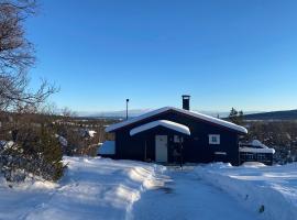 Cabin in the Mountain, Outstanding View & Solar Energy, casa de muntanya a Vollen