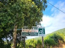 L anghjuledda 2