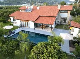 Villa Queen Palm