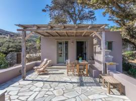 Under The Linden Tree Tinos, country house in Koumáros