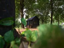 Tenpy Tiny Enchanting Tintin at Sheilma Farm, NCR