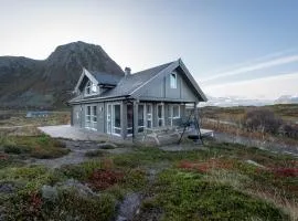 Midnightsun Aurora Golf Beach Horses
