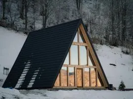 Atipic Chalet