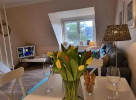 Ferienwohnung "Strandschnecke" im Haus Hallig Oland