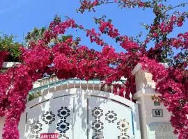 Villa 4 Posti Letto 100 Metri Dal Mare