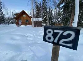 Cozy Alaskan Log Home - Aurora overhead