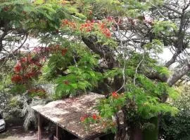 Sobrado com vista profissional do mar