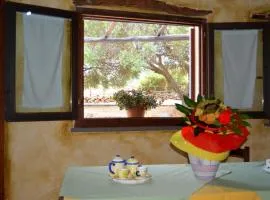 Agriturismo Rubinu
