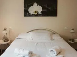 Casa Francia Alidosi