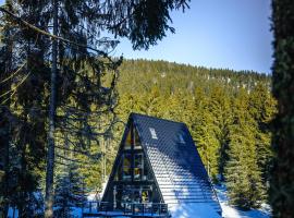 Black Chalet, hotel a Vârtop