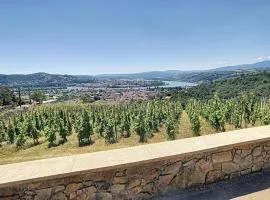 Condrieu, le Châtillon au cœur du vignoble belle vue sur vallée du Rhône