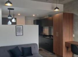 Roma Vista Loft- Oasis en el coraz&oacute;n de la Roma