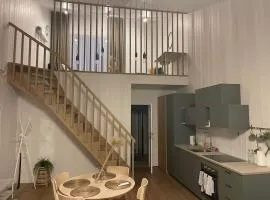 Jaukūs apartamentai Svencelėje