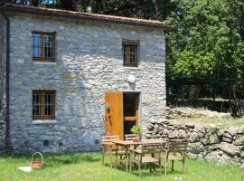 Casa nel bosco sul Golfo dei Poeti - Mago