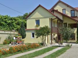 Vila Bel Ami, guest house in Şelimbăr