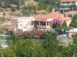 Guest's house ''Lindi&Roni''