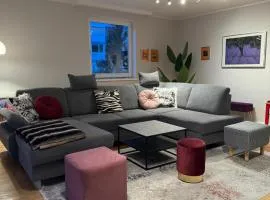 Modern Central City Apartment
