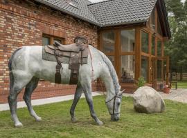 Pensjonat w Sam Las, hotel en Barnówko