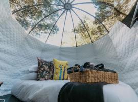 The Cacoon by Once Upon a Dome @ Misty Mountain Reserve, glamping site in Stormsriviermond