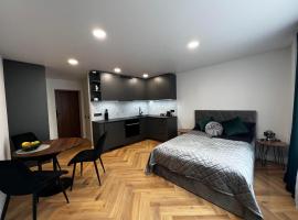 Hygge Apartments, φθηνό ξενοδοχείο σε Druskininkai
