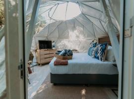 The Forest Dome by Once Upon a Dome @ Misty Mountain Reserve, glamping site in Stormsriviermond