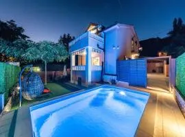 Villa Viktoria with private swimming pool
